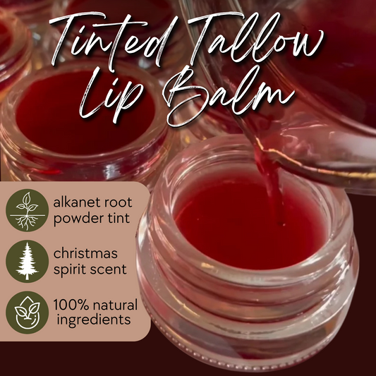 Tinted Tallow Lip Balm